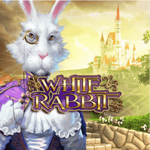 White Rabbit